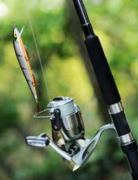 Fly Fishing Lures Nature Supernormal