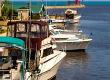 Fishing from Harbours and Estuaries