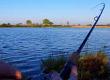 Introduction to Coarse Fishing