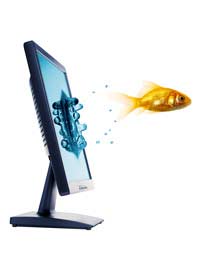 Fishing Fish Games Computer Online Games