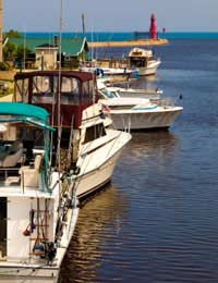 Estuaries Harbours River Mouths Feeding