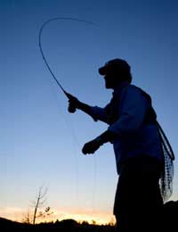 Salmon Sea Trout Brown Trout Rainbow