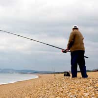 Conger Eel Sea Fishing Fishing Bait Sea